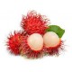 RAMBUTAN